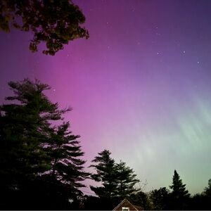 Meet your Posher, Maya